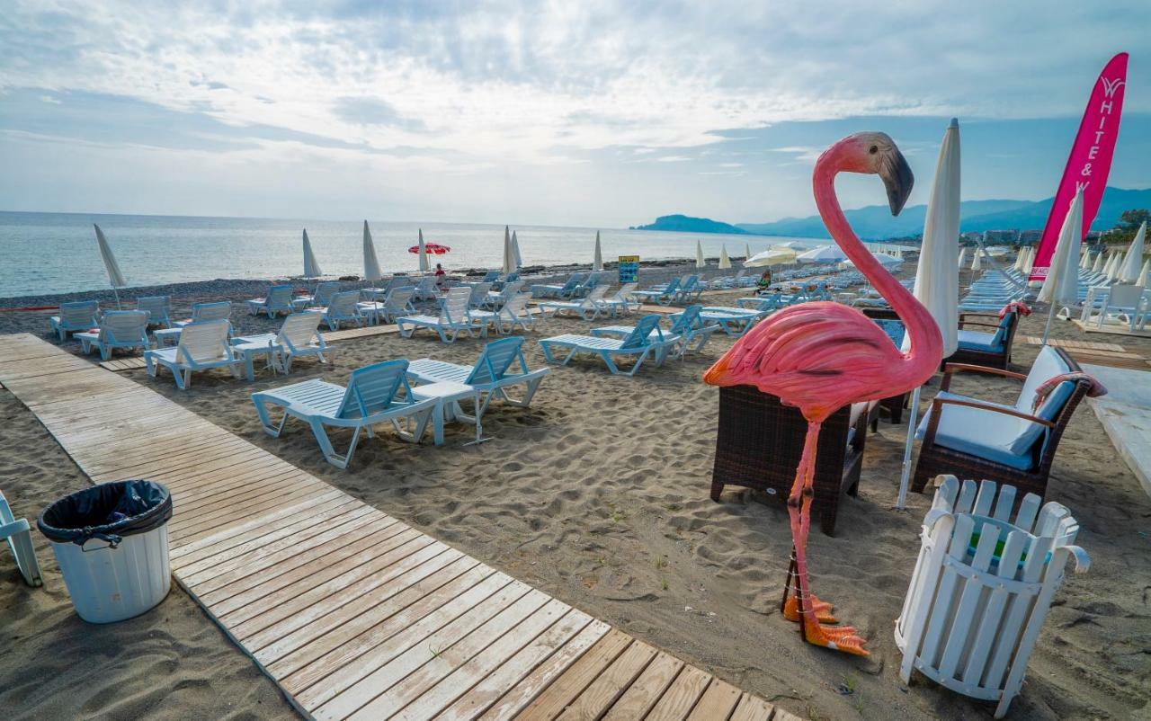 Campus Hill Hotel Αλάνια Εξωτερικό φωτογραφία